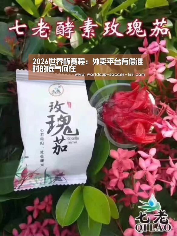 2026世界杯赛程