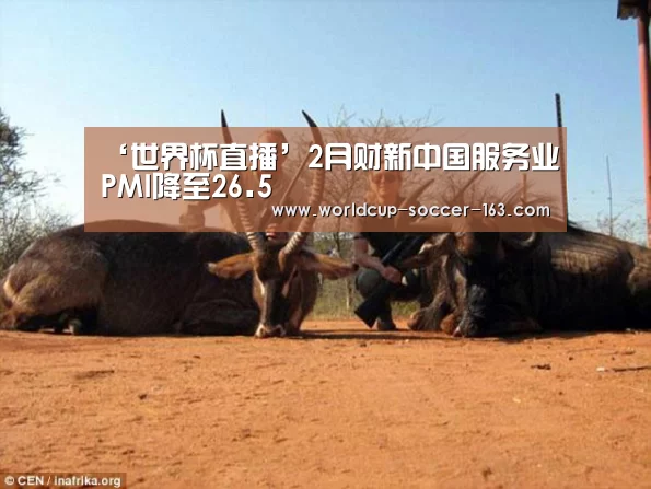 ‘世界杯直播’2月财新中国服务业PMI降至26.5(图1) 2026世界杯赛程