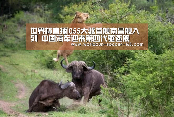 世界杯直播|055大驱首舰南昌舰入列 中国海军迎来第四代驱逐舰(图2) 世界杯直播