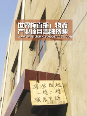 世界杯直播